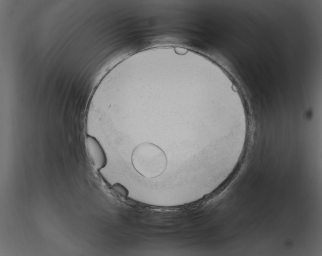 X0000115801145200912241847