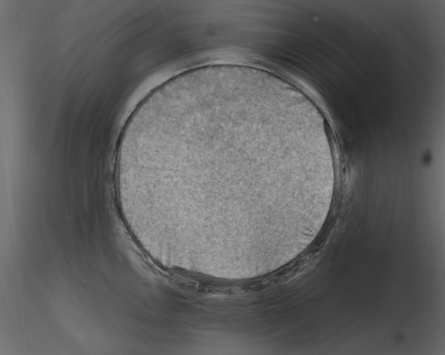 X0000115801146200912241847