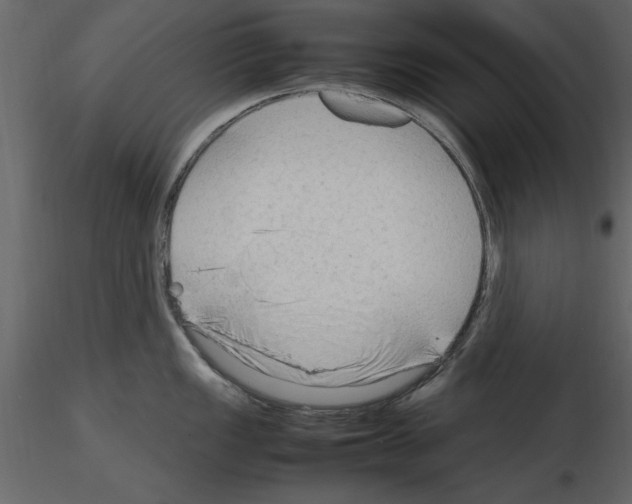 X0000115801149200912241848