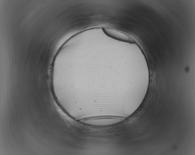 X0000115801151200912241848