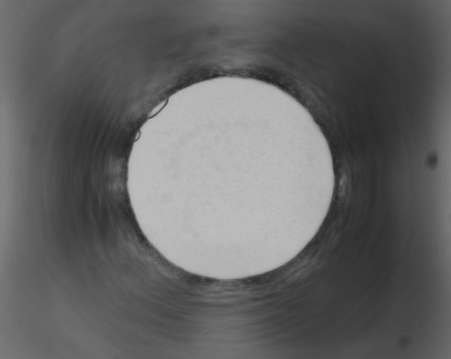 X0000115801156200912241847