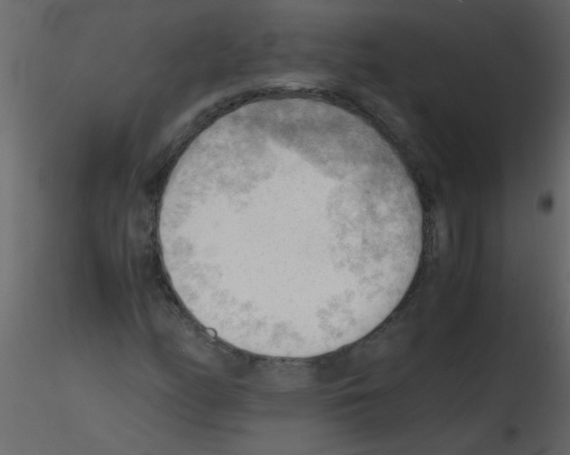 X0000115801158200912241847