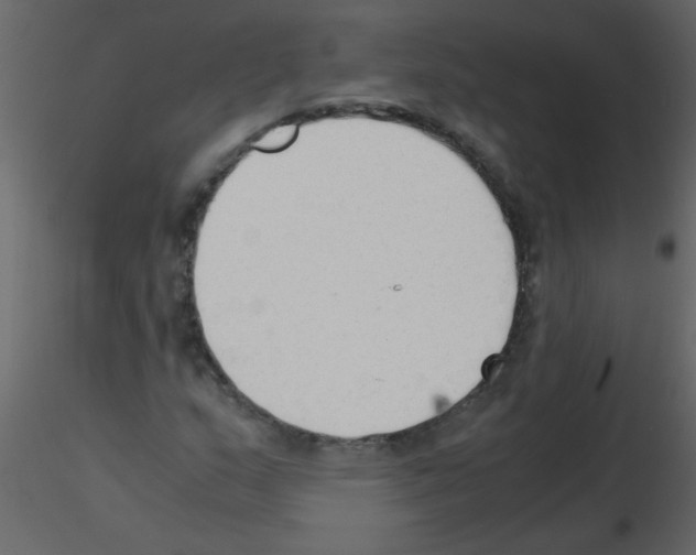 X0000115801159200912241847