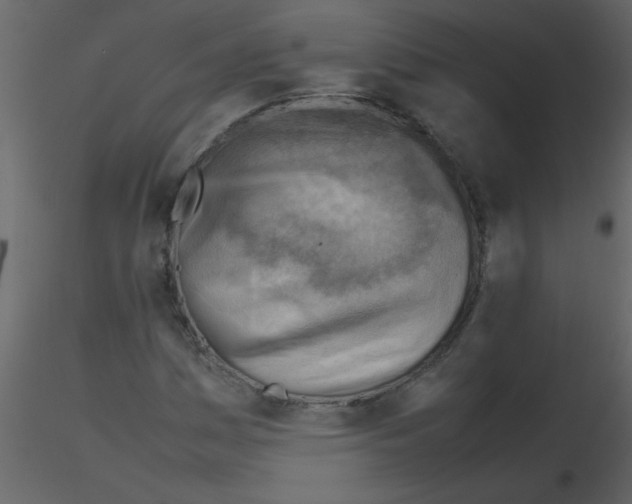 X0000115801161200912241847