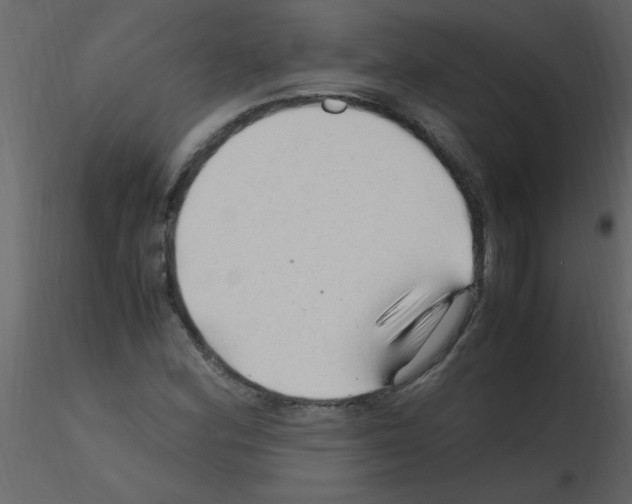 X0000115801164200912241847