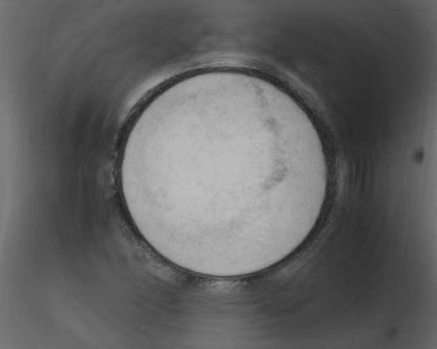 X0000115801166200912241847