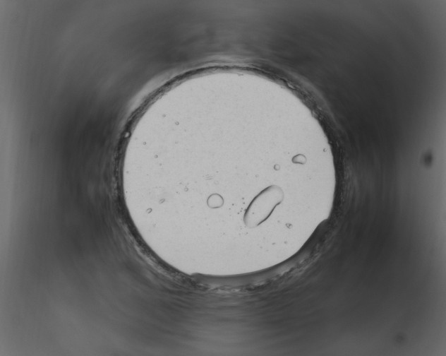 X0000115801168200912241847