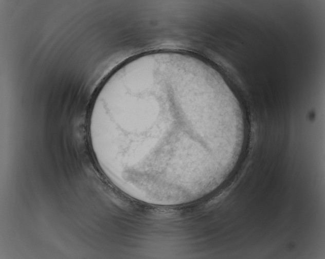 X0000115801170200912241847