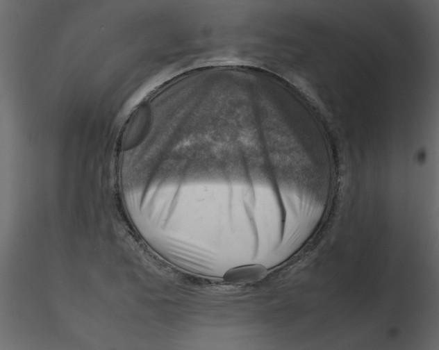 X0000115801173200912241847