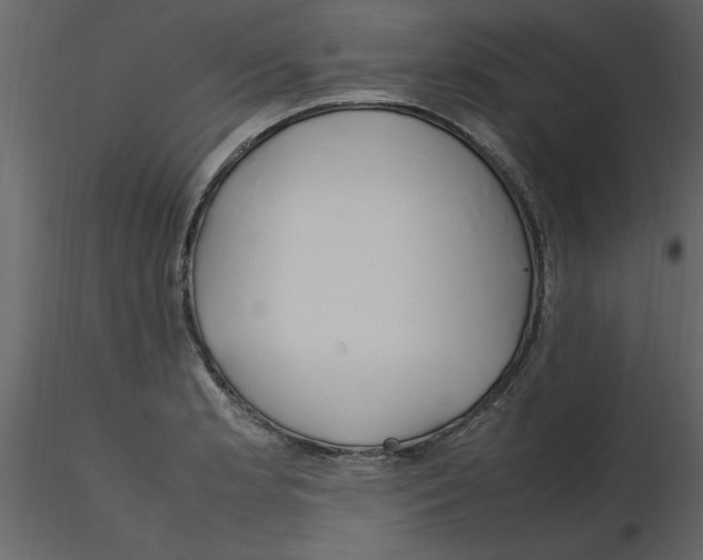 X0000115801181200912241847