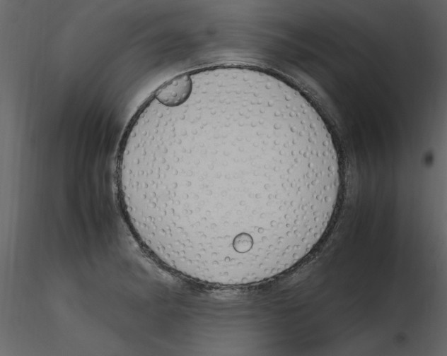 X0000115801182200912241847