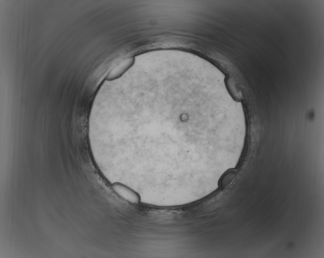 X0000115801185200912241846