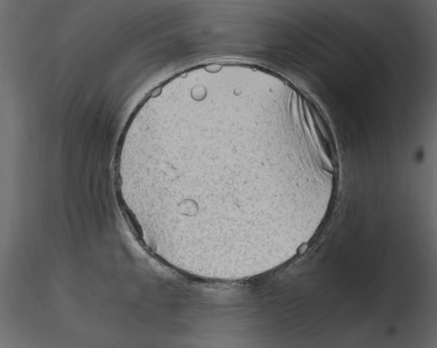 X0000115801189200912241846