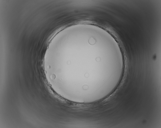 X0000115801193200912241846