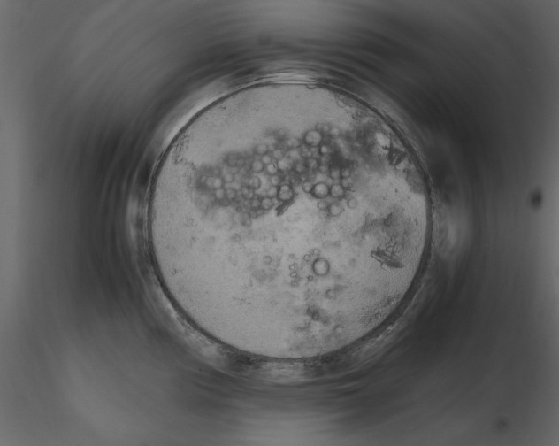 X0000115801194200912241846