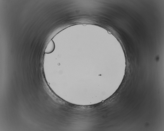 X0000115801195200912241846