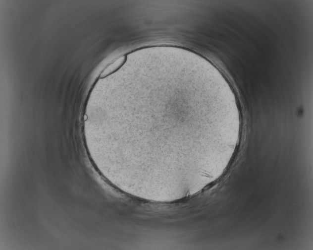 X0000115801197200912241846