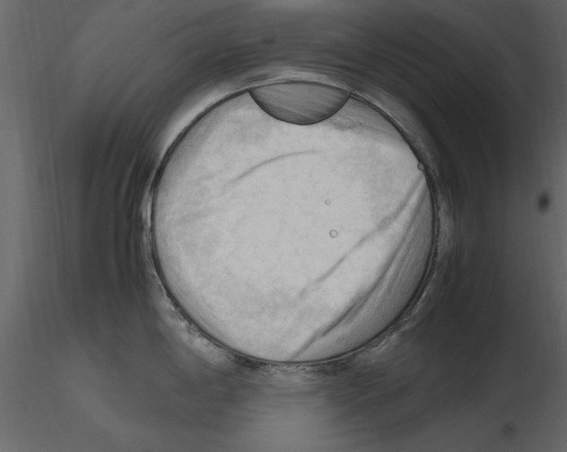 X0000115801198200912241846