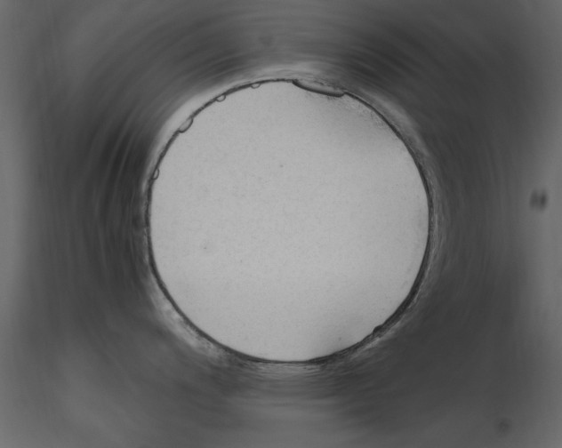 X0000115801200200912241846