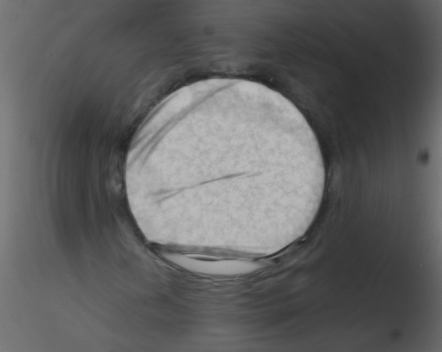 X0000115801202200912241846