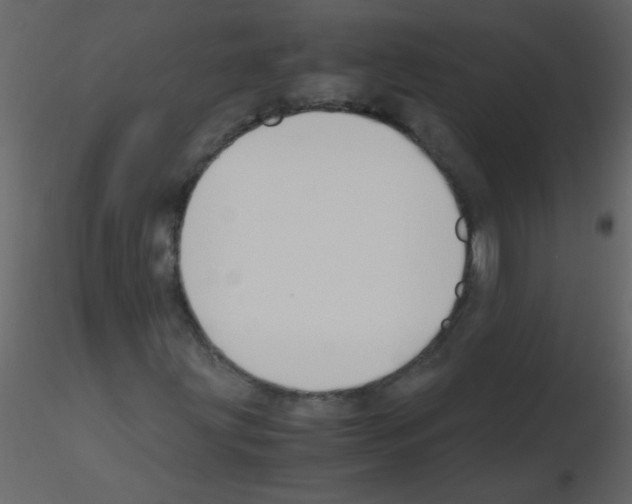 X0000115801203200912241846