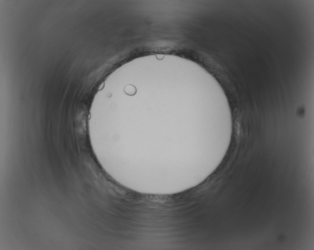 X0000115801204200912241846