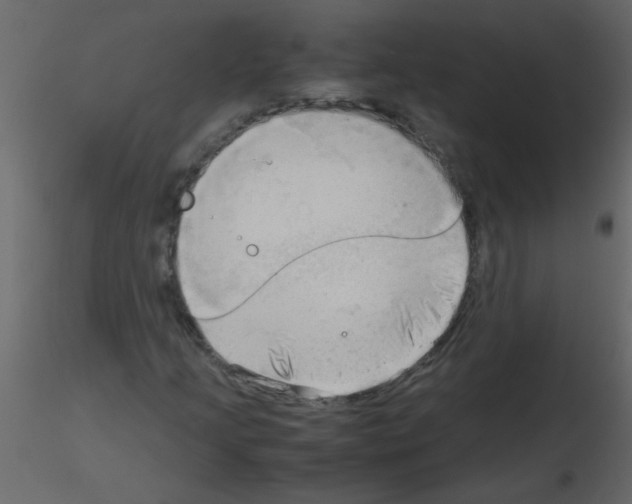 X0000115801205200912241846