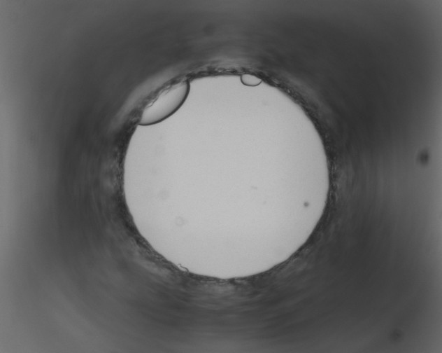 X0000115801207200912241846