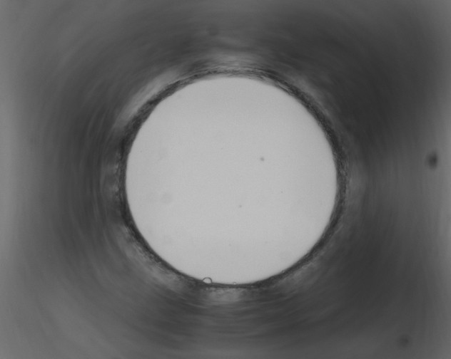 X0000115801211200912241846