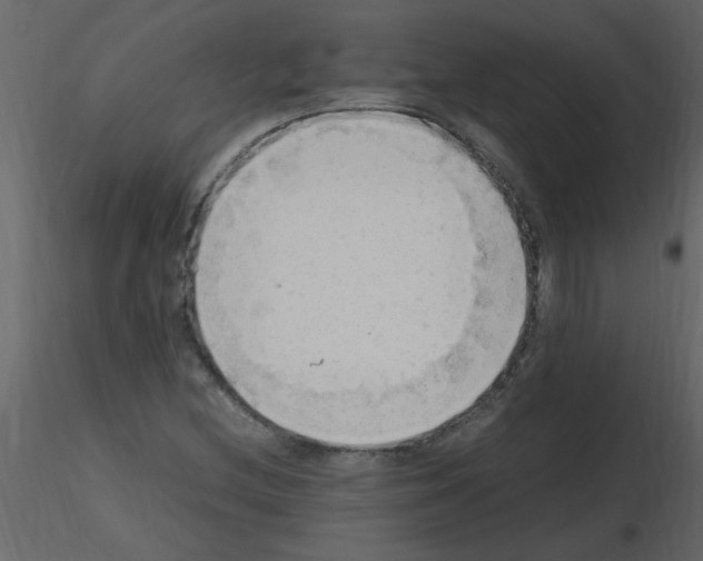 X0000115801212200912241846