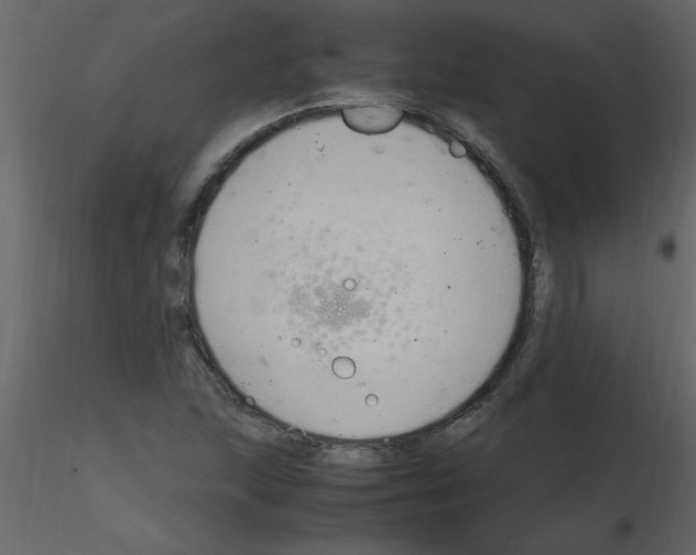 X0000115801215200912241846