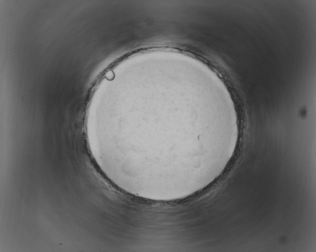 X0000115801216200912241846