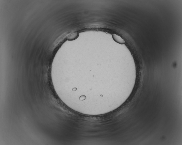 X0000115801217200912241846