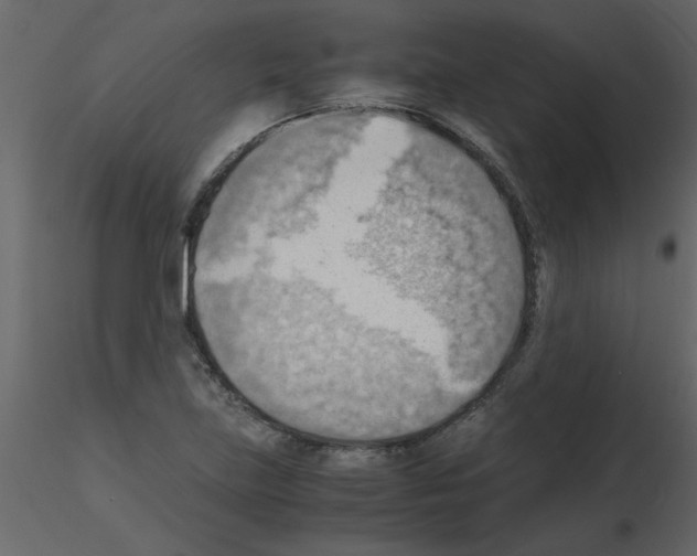 X0000115801219200912241846