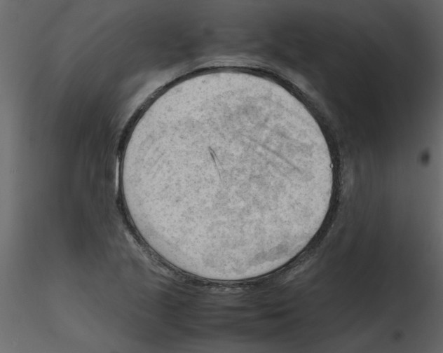 X0000115801221200912241846