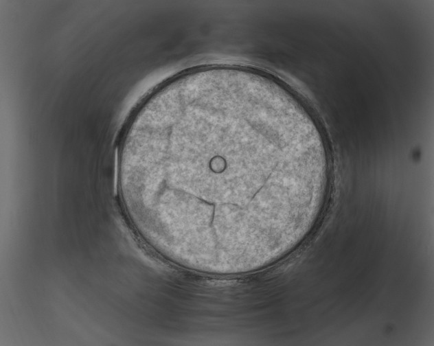 X0000115801223200912241846