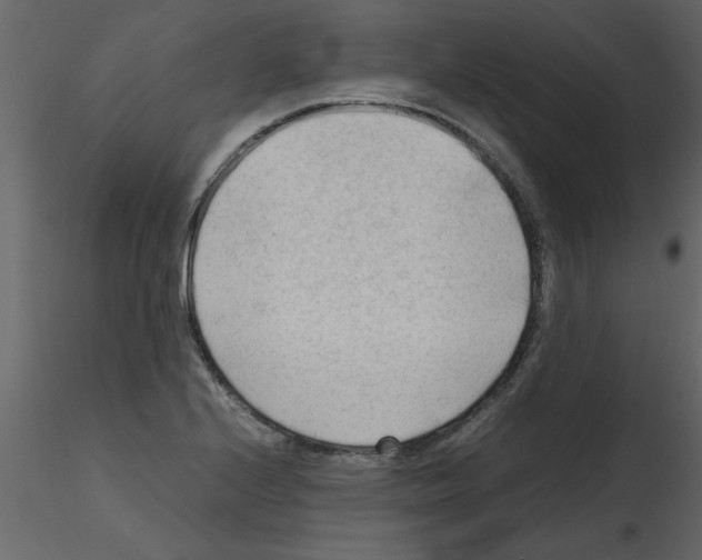 X0000115801224200912241846