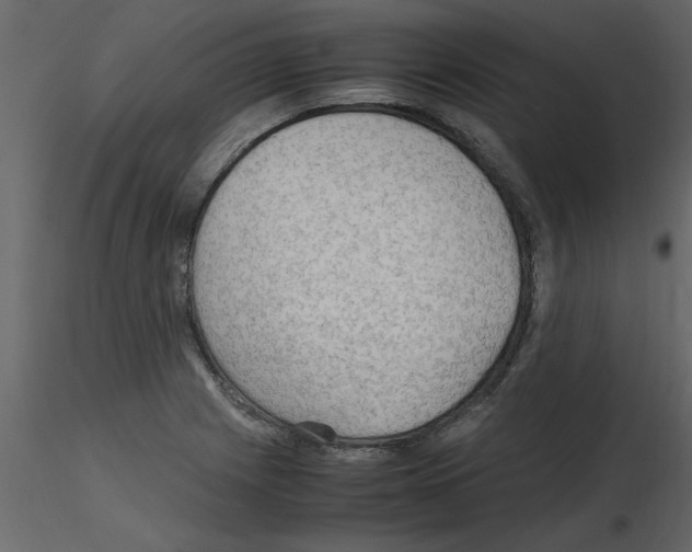 X0000115801225200912241846