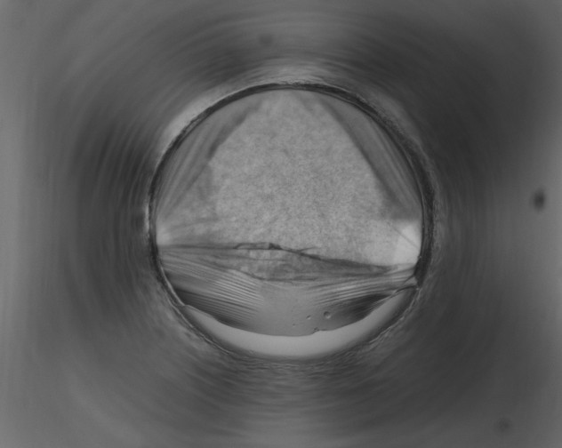 X0000115801226200912241846