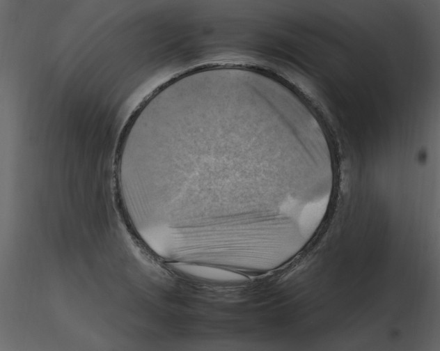 X0000115801229200912241846