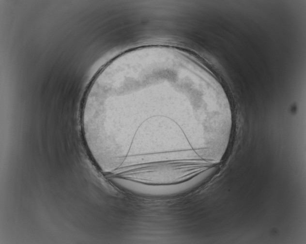 X0000115801230200912241846