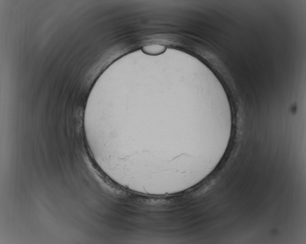 X0000115801233200912241846