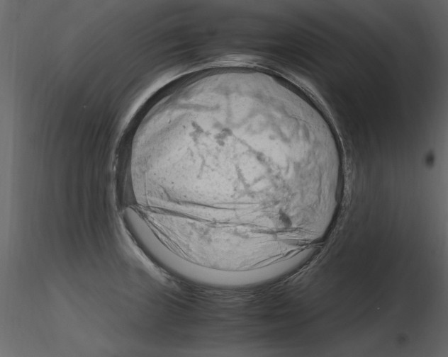 X0000115801235200912241846