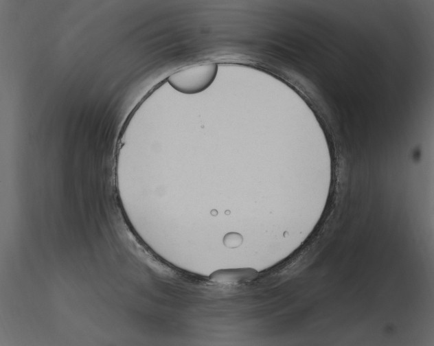 X0000115801236200912241846