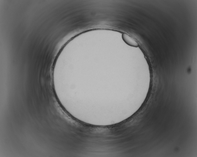 X0000115801238200912241846