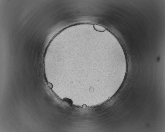 X0000115801240200912241846