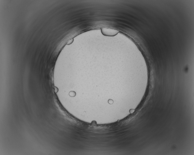 X0000115801241200912241846