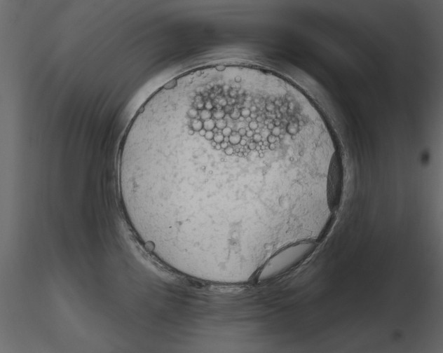 X0000115801242200912241846