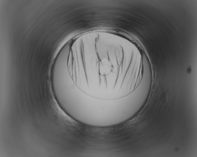 X0000115801243200912241846