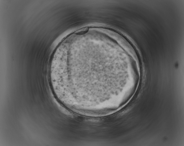 X0000115801245200912241846